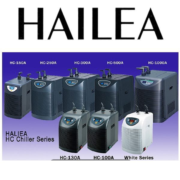 Chiller Hailea HC-100A Water Cooler