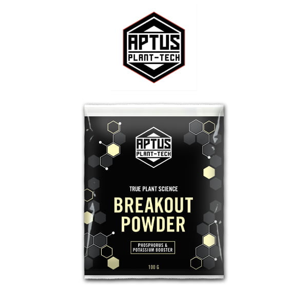 aptus breakout powder
