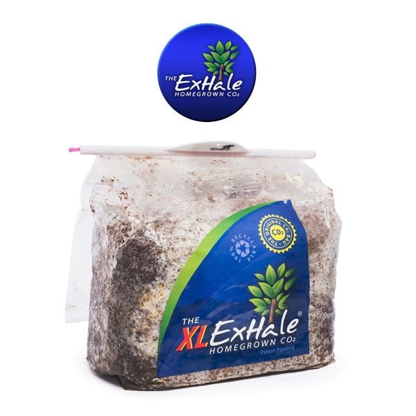 Exhale CO2 Bag XL 