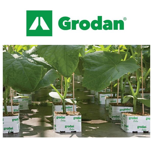 4 Pack Grodan Rockwool Cubes with Holes 6 x 6 x 5 5/8 Inches 